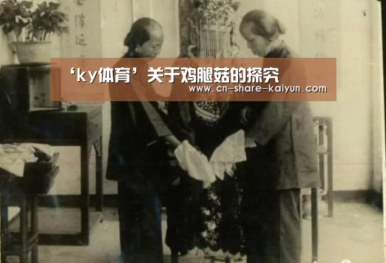 ‘ky体育’关于鸡腿菇的探究(图2) ky体育