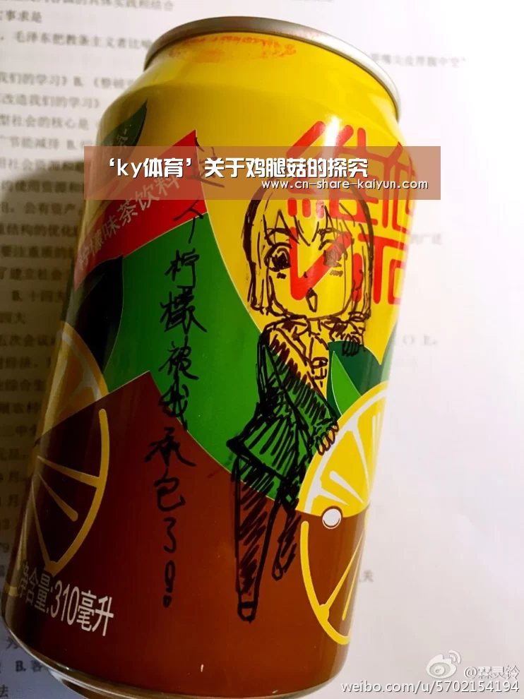 ‘ky体育’关于鸡腿菇的探究(图1) 开云体育