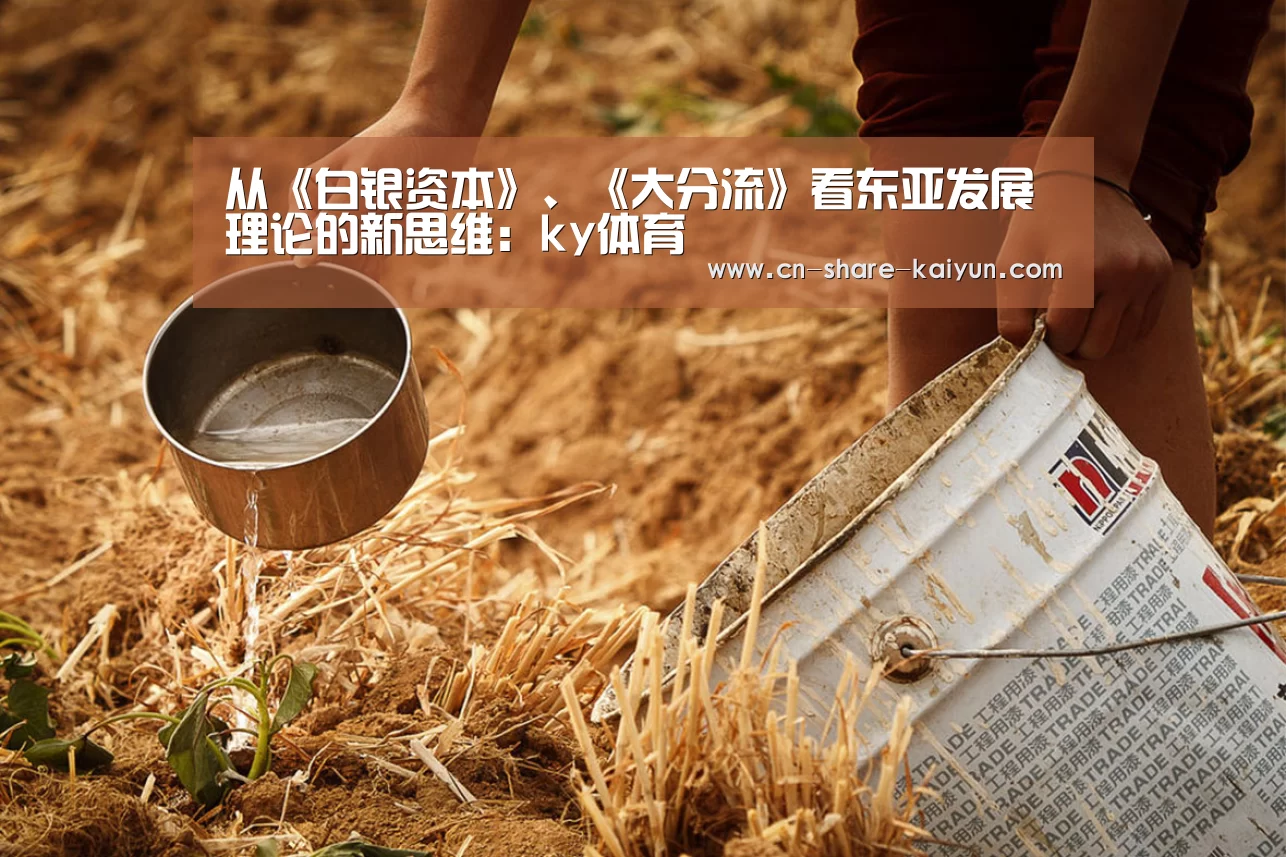 从《白银资本》、《大分流》看东亚发展理论的新思维:ky体育(图3) ky体育