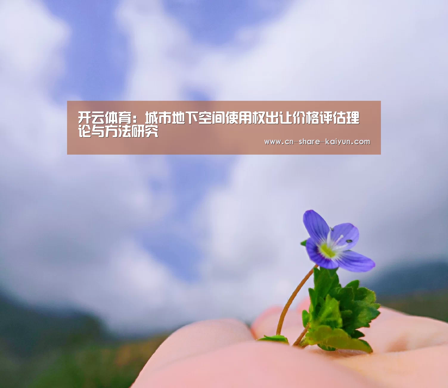 开云体育:城市地下空间使用权出让价格评估理论与方法研究(图4) 开云体育
