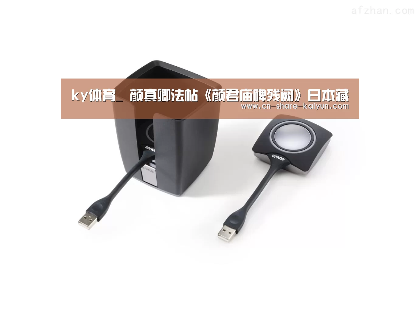 ky体育_
颜真卿法帖《颜君庙碑残阙》日本藏(图3)