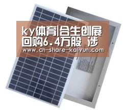 开云体育